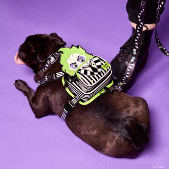 Beetlejuice Cosplay Mini Backpack Dog Harness, Image 2